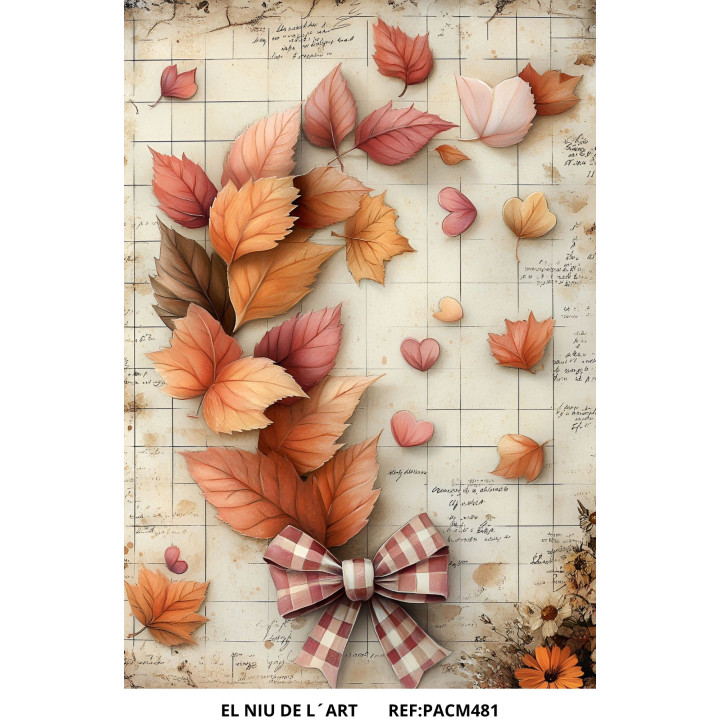 copy of 